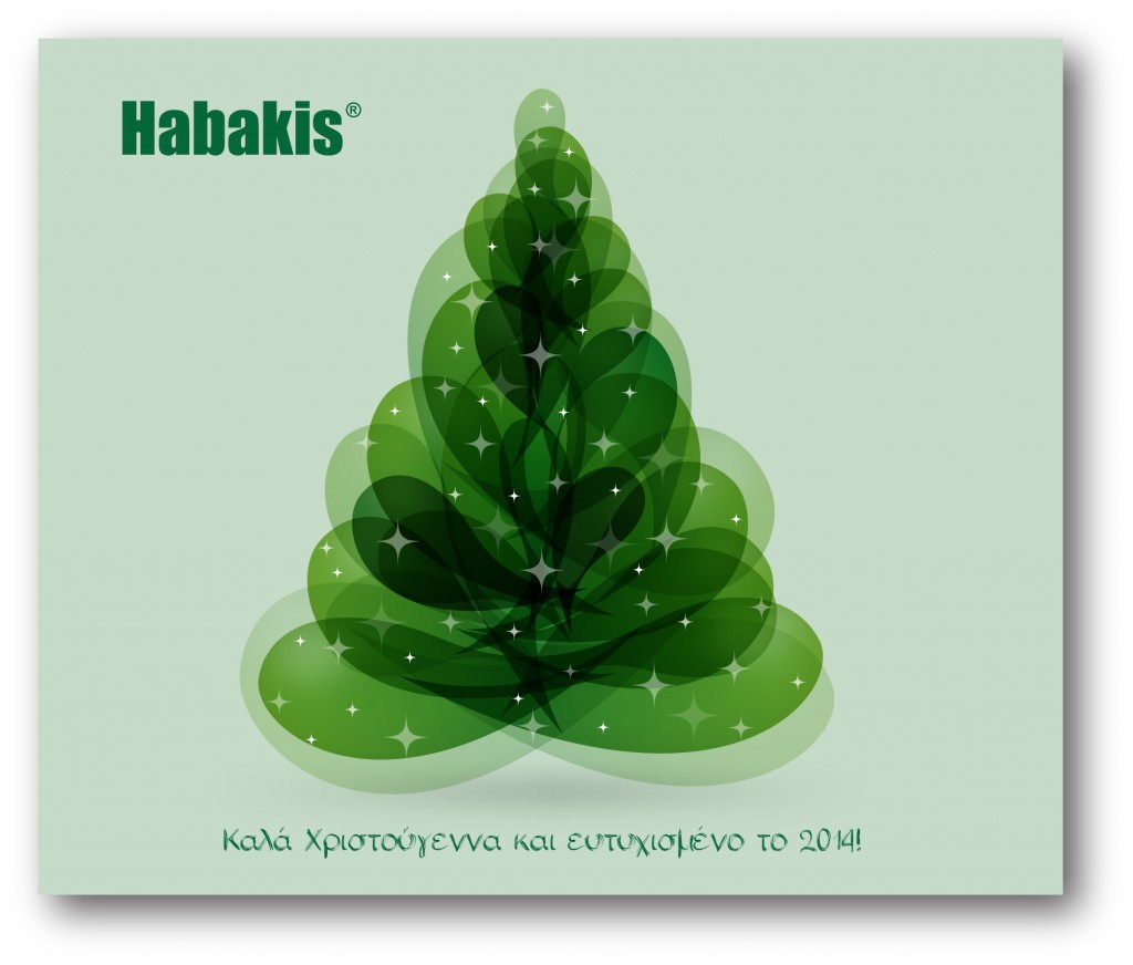 Christmas card 2013-gr